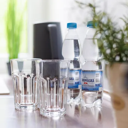 Apartment Malila Premium Cracow Katowa 6